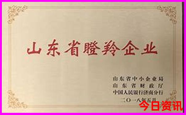 夏天必去的十大景点